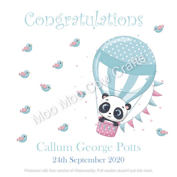 hot air balloon panda cute style