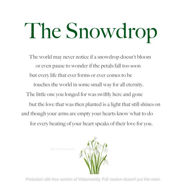 card with text and picture of a snowdrop