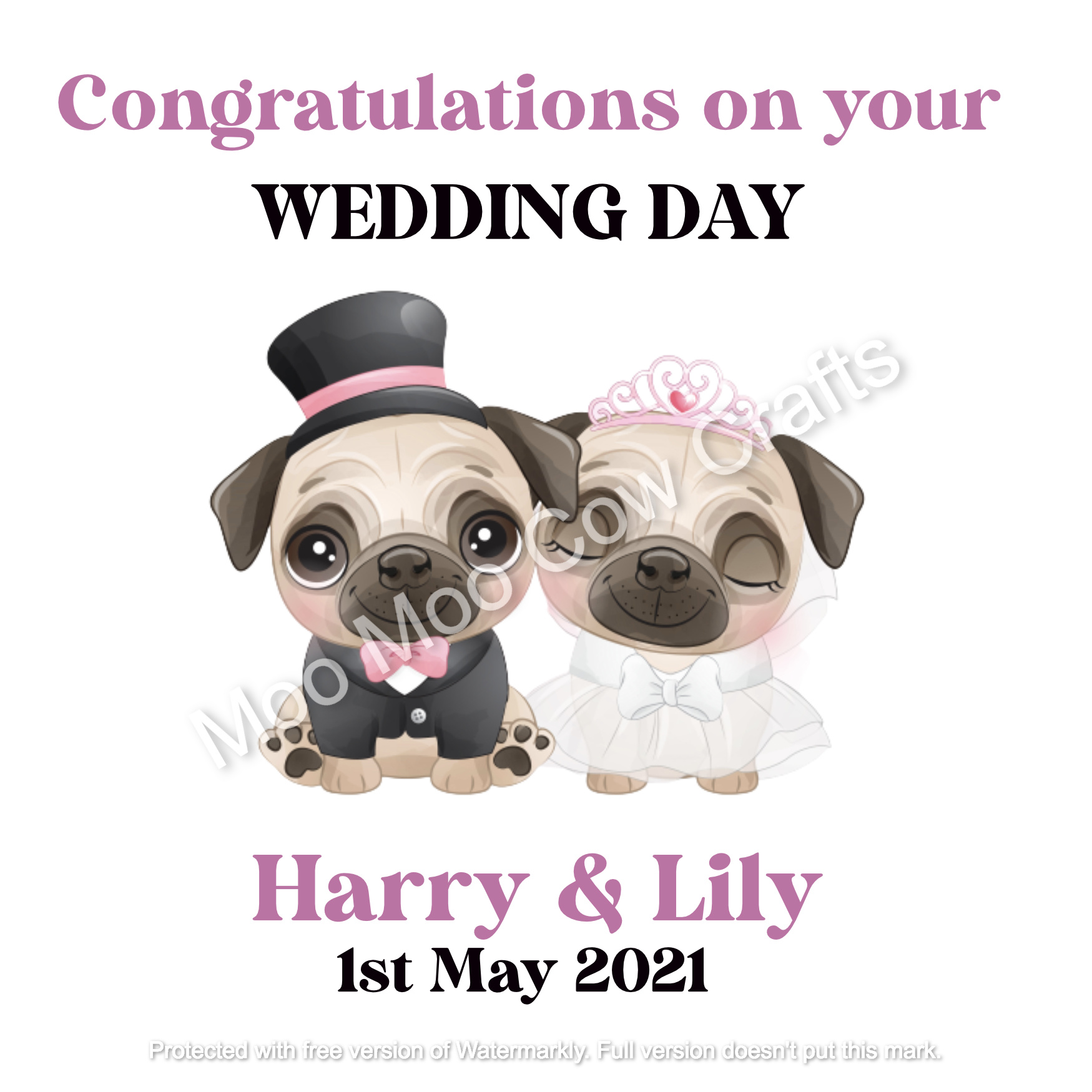 pugs wedding day clothes