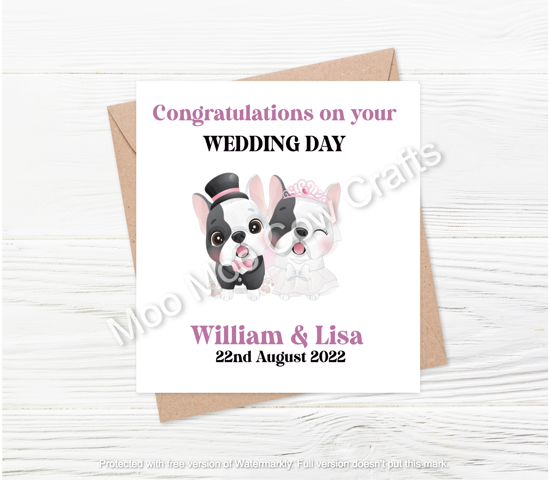 boxer dogs on white background