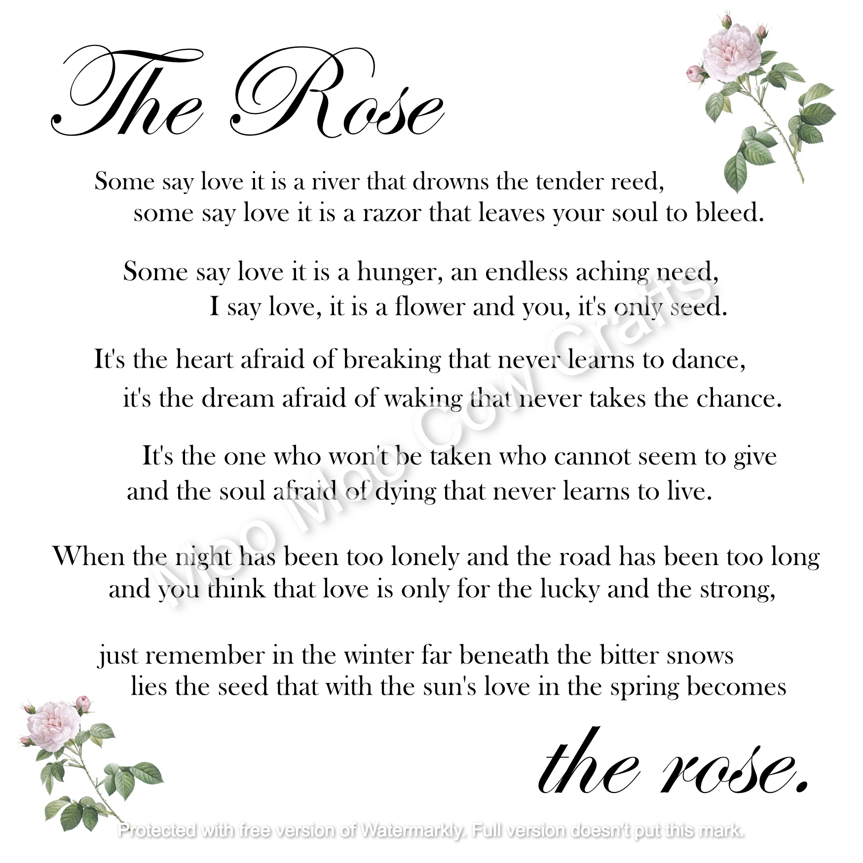 text on white background