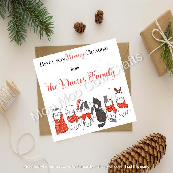 cats on white background with christmas pine cones